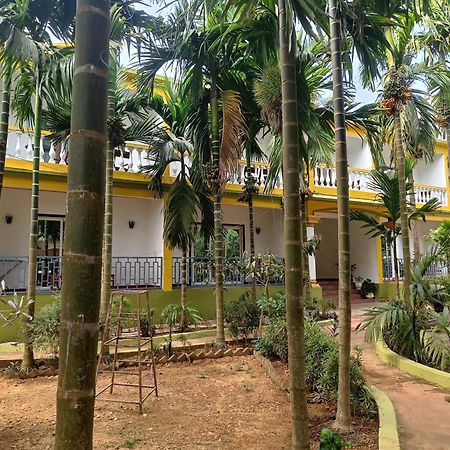 Lavish Exotic Hotel & Apartments Arambol Eksteriør bilde