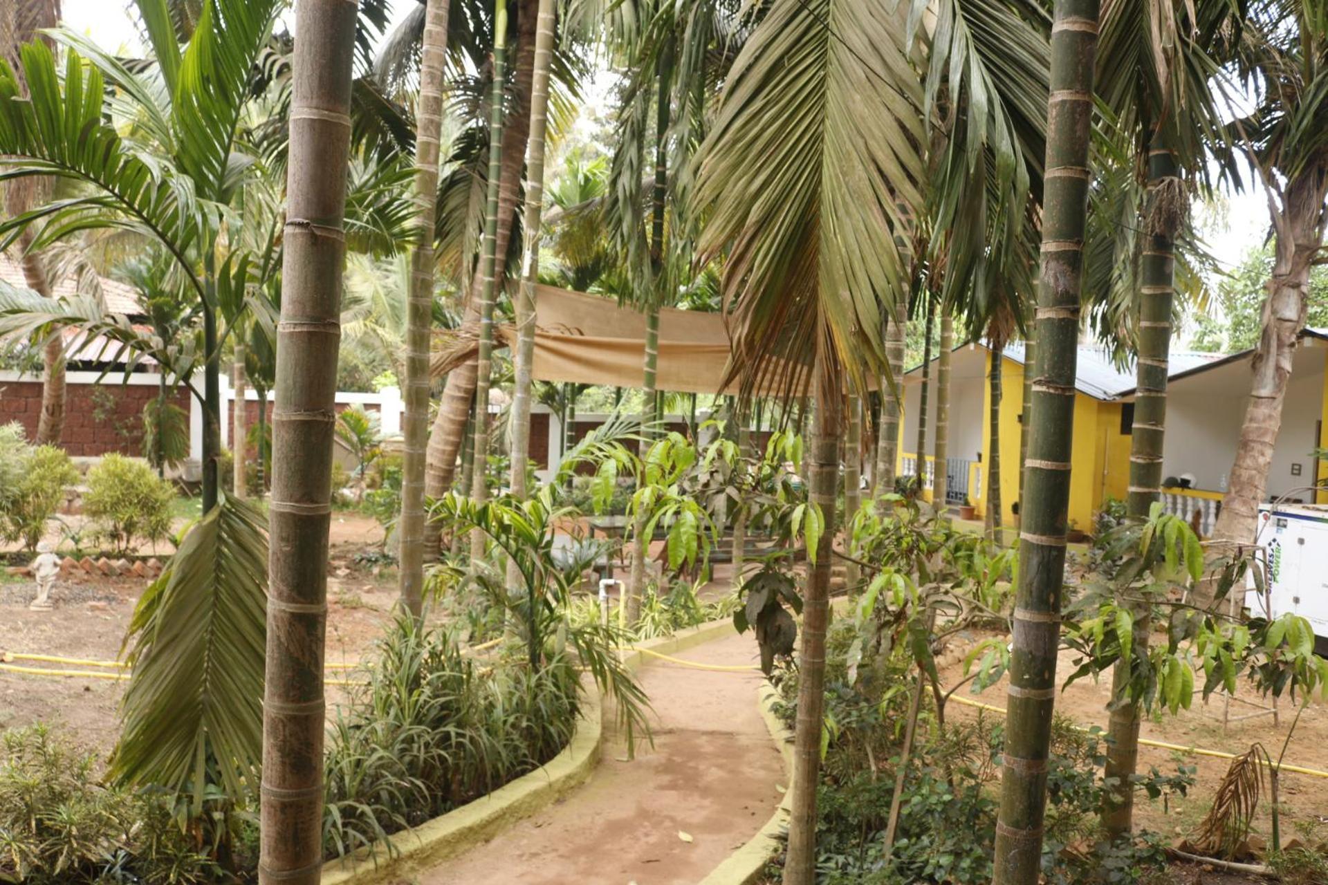 Lavish Exotic Hotel & Apartments Arambol Eksteriør bilde